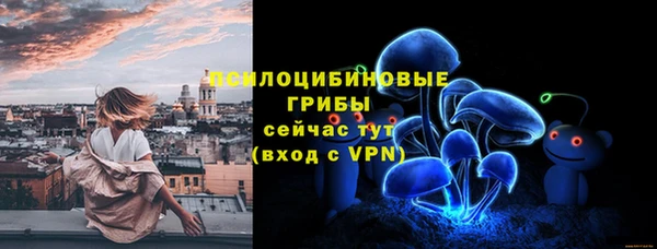 метадон Инсар