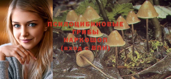 метадон Инсар