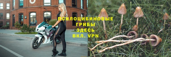 ешки Иннополис