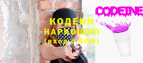 ешки Иннополис