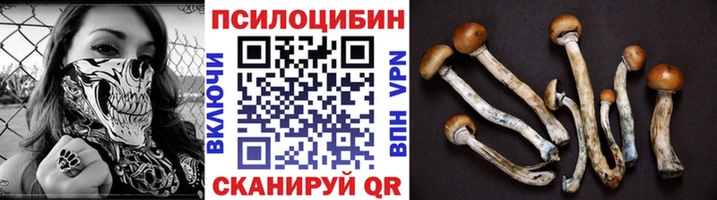 Купить где  Копейск  Псилоцибиновые грибы MAGIC MUSHROOMS 